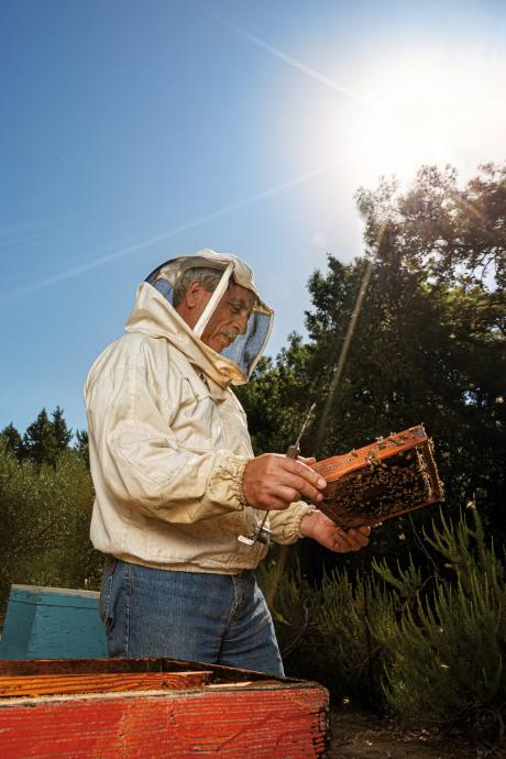 The Beekeeper